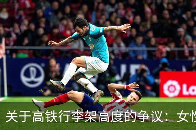 关于高铁行李架高度的争议：女性的需求是否被忽视？